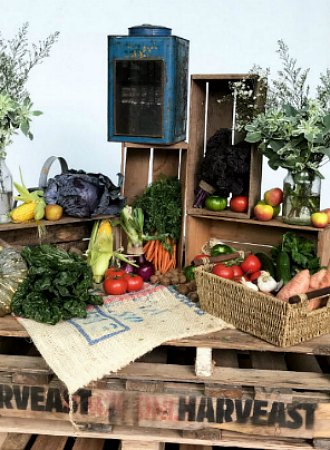 Fruit Boxes & Baskets