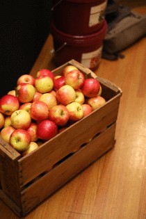 Medium Fruit Box