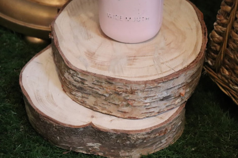 Wood Tree Disc - Smooth Birch