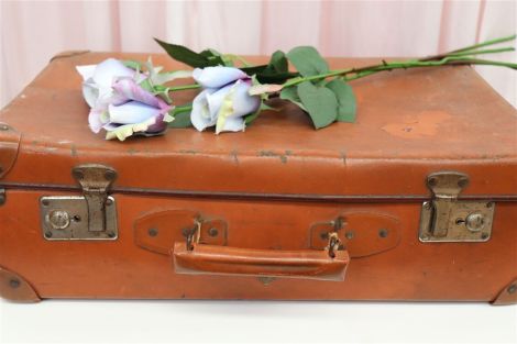 Vintage Suitcases - Burnt Orange